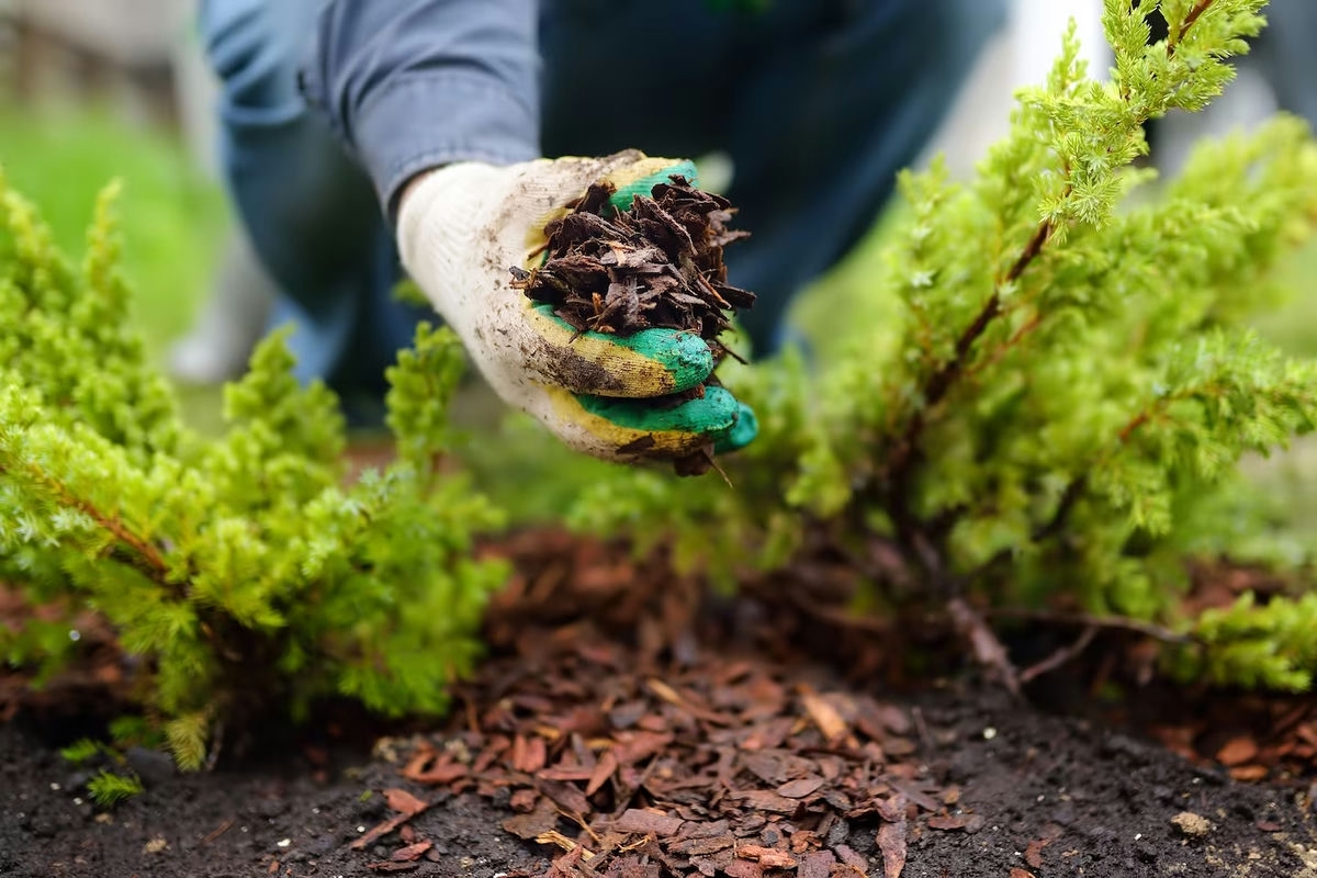 COMMENT PROTÉGER SON JARDIN EN HIVER